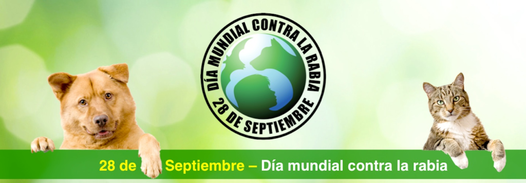Día mundial contra la rabia – IFMSA – Argentina